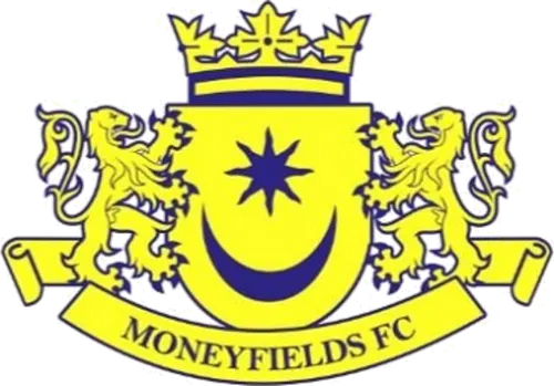 Moneyfields logo