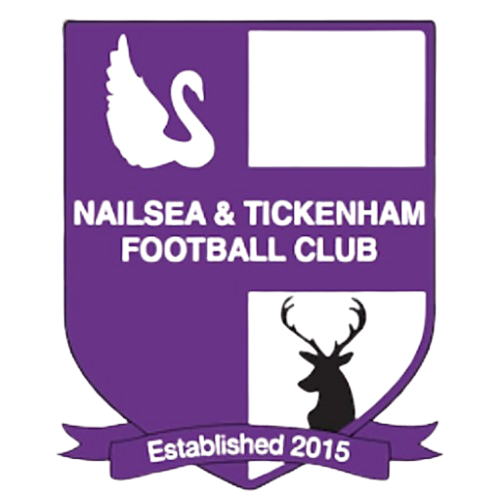 Nailsea and Ticken logo