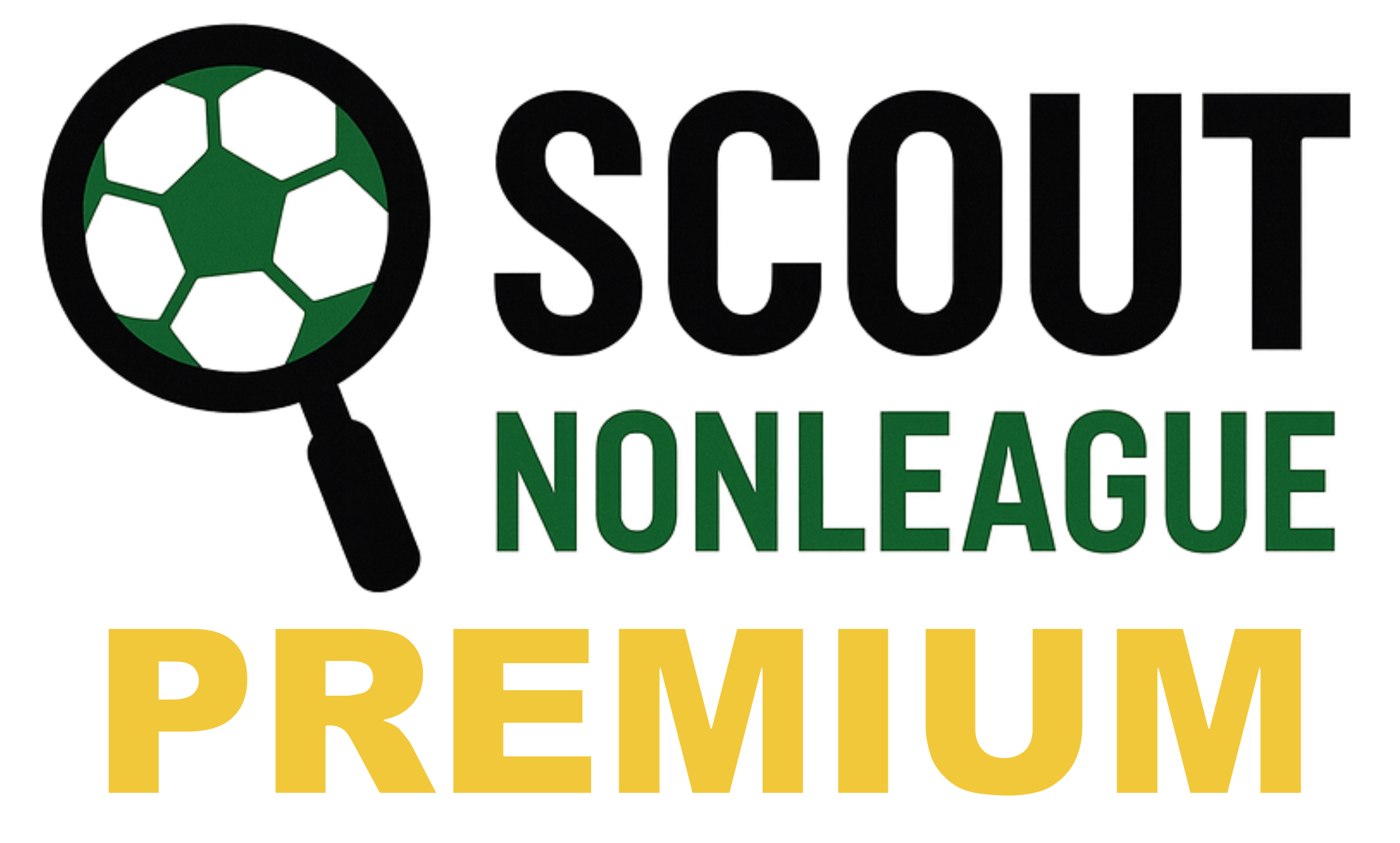 Premium logo